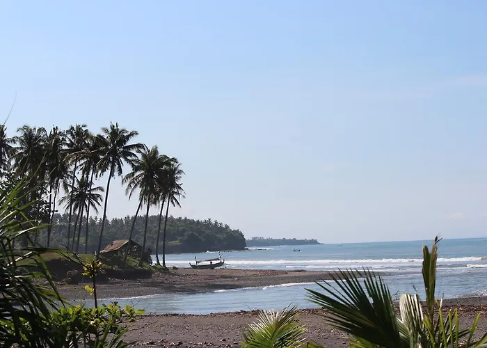 Balian *